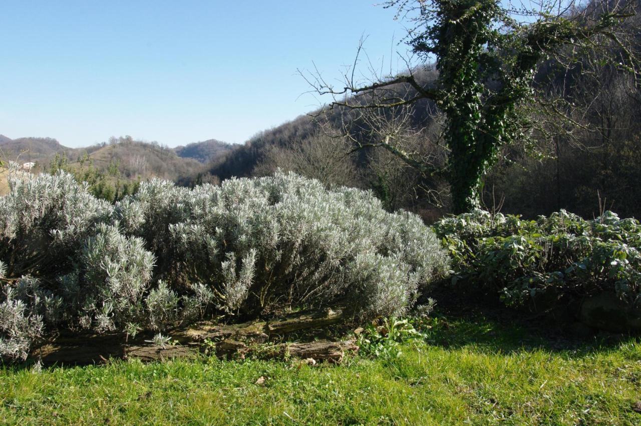Farm stay Corte Del Maso